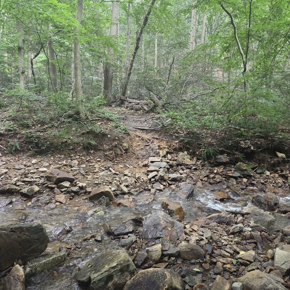 Meet your Posher, Amy - Picture 3 of 4